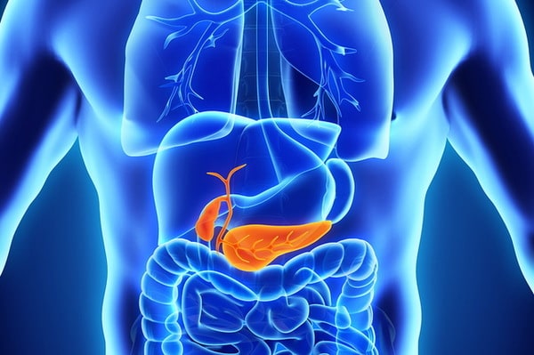 Eases Symptoms of Gallbladder Disease & Pancreatitis
