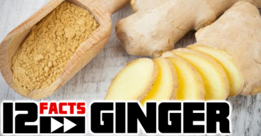 ginger facts